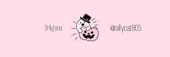 AllyCat π»π€ banner image