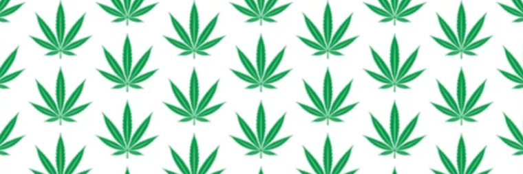 AllyJ420 banner image