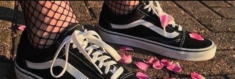 Ally cover image