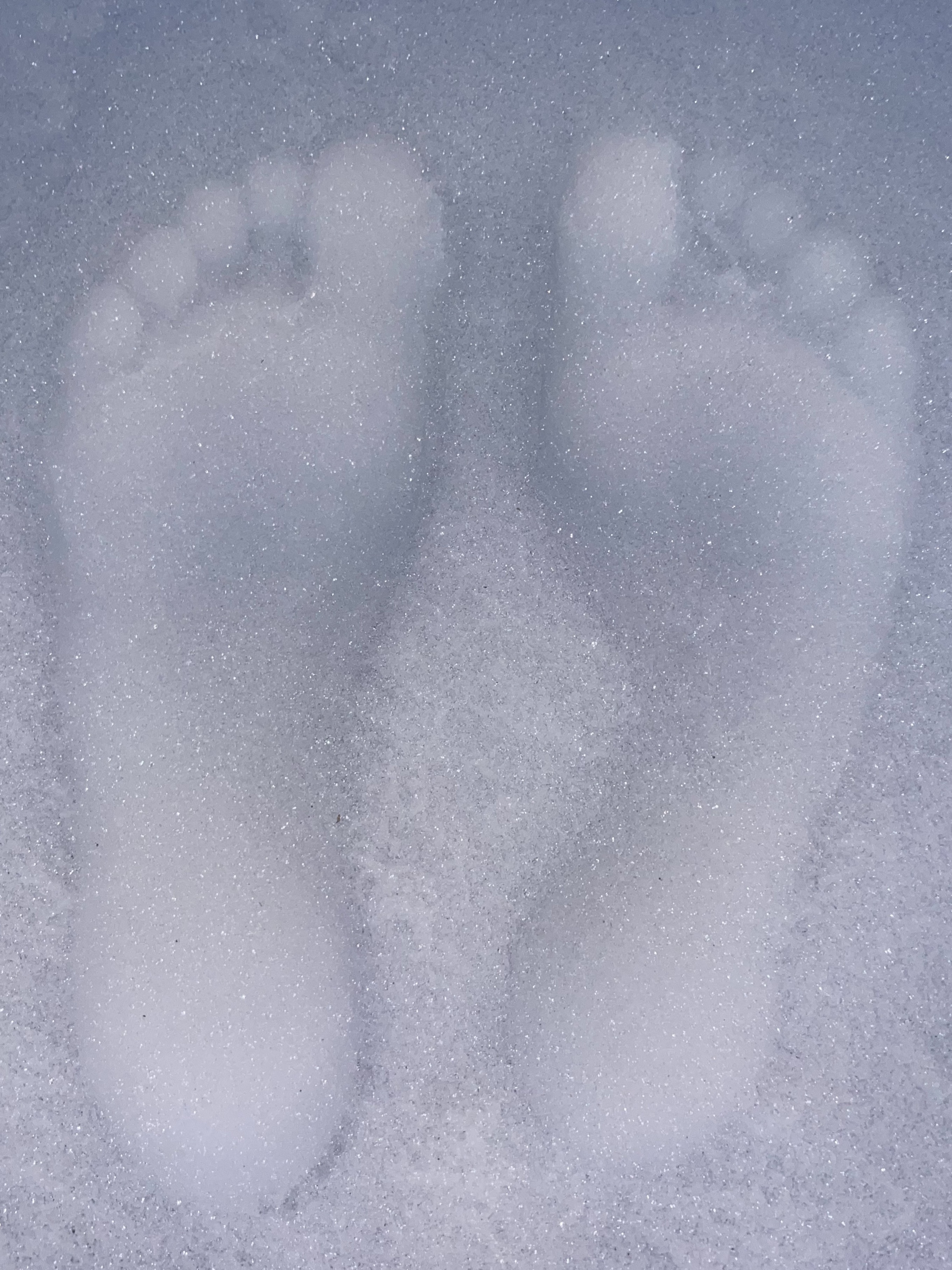 Ally’s 🦶🏻 💀 banner image