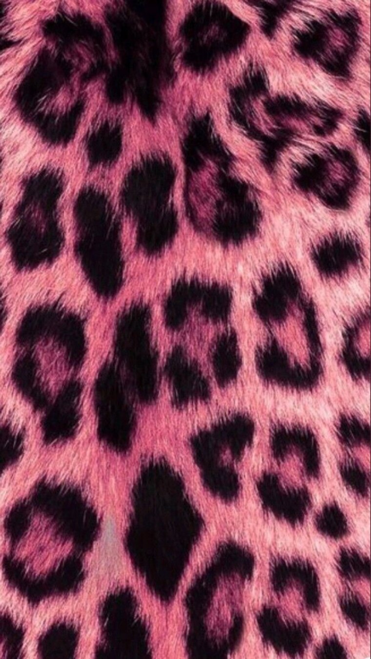 Nicole cover image
