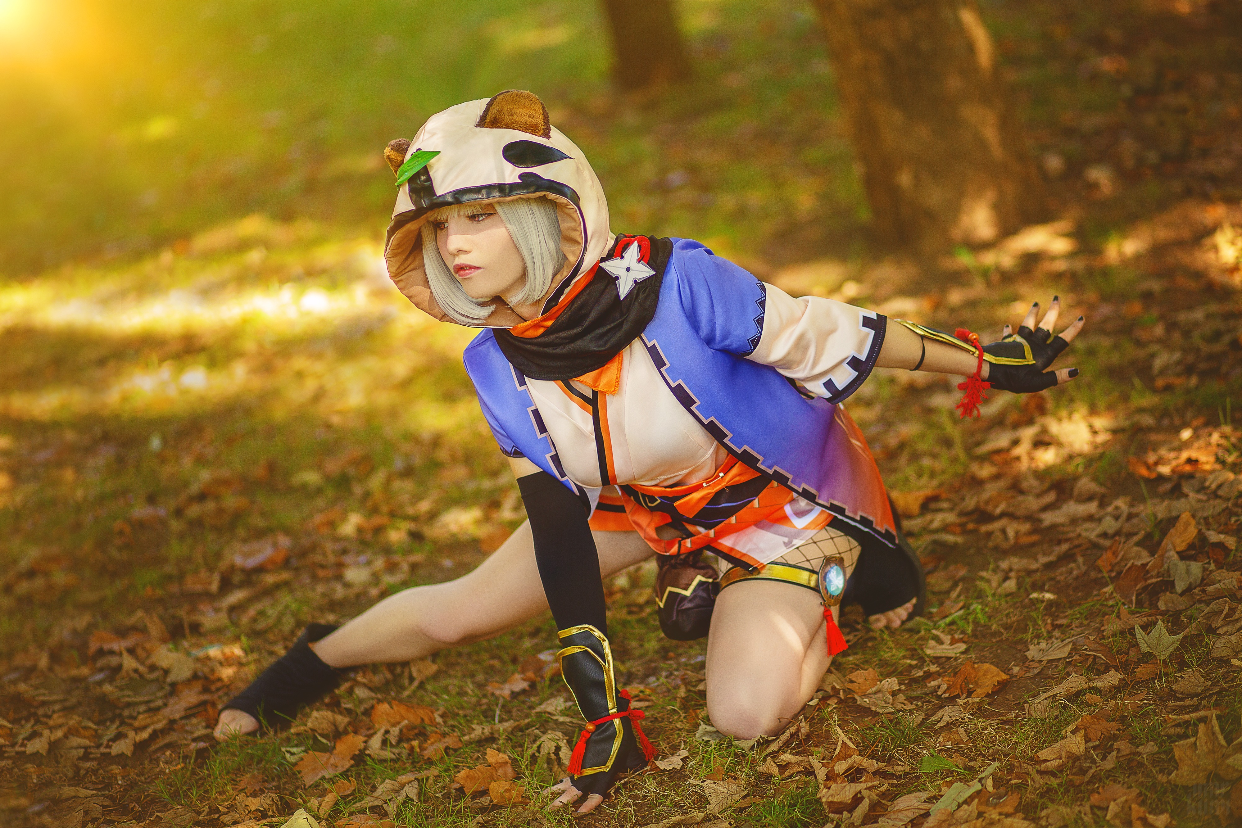 Alpa banner image