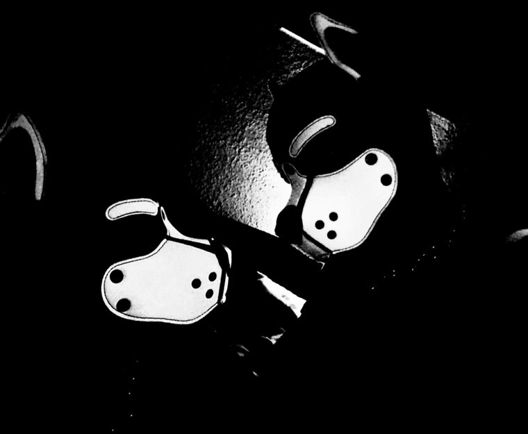 Pup_Inuki banner image