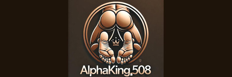 AlphaKing_508 cover image