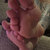 Alpha feet5960 avatar