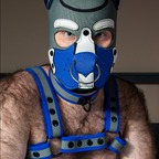 Alpha Pup Blue avatar