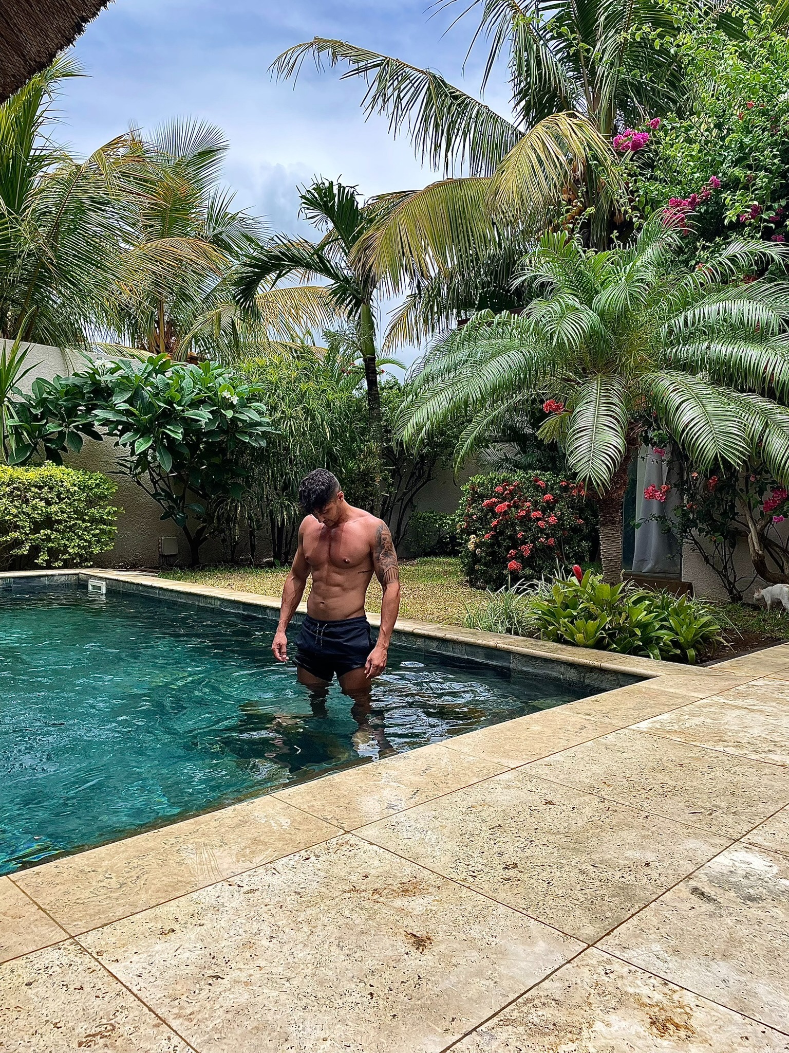 Alphastud_ banner image