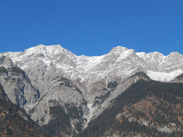 AlpineBear cover image