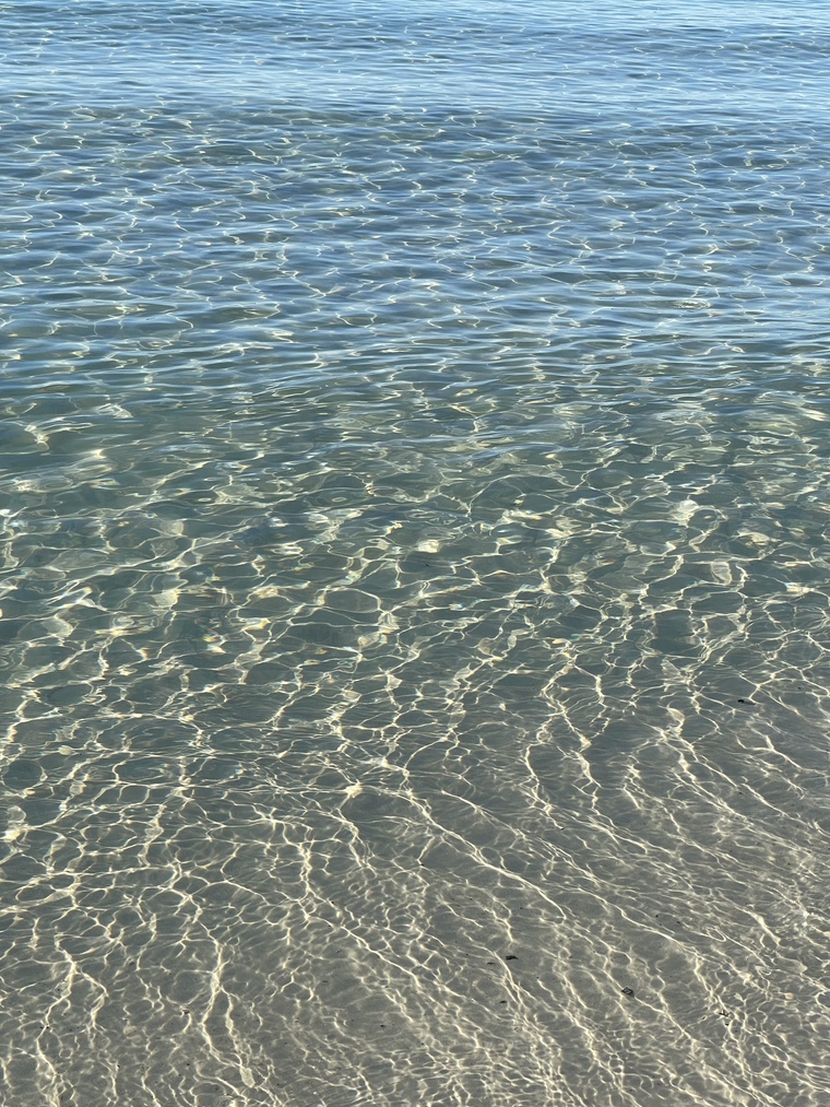 Ariel cover image
