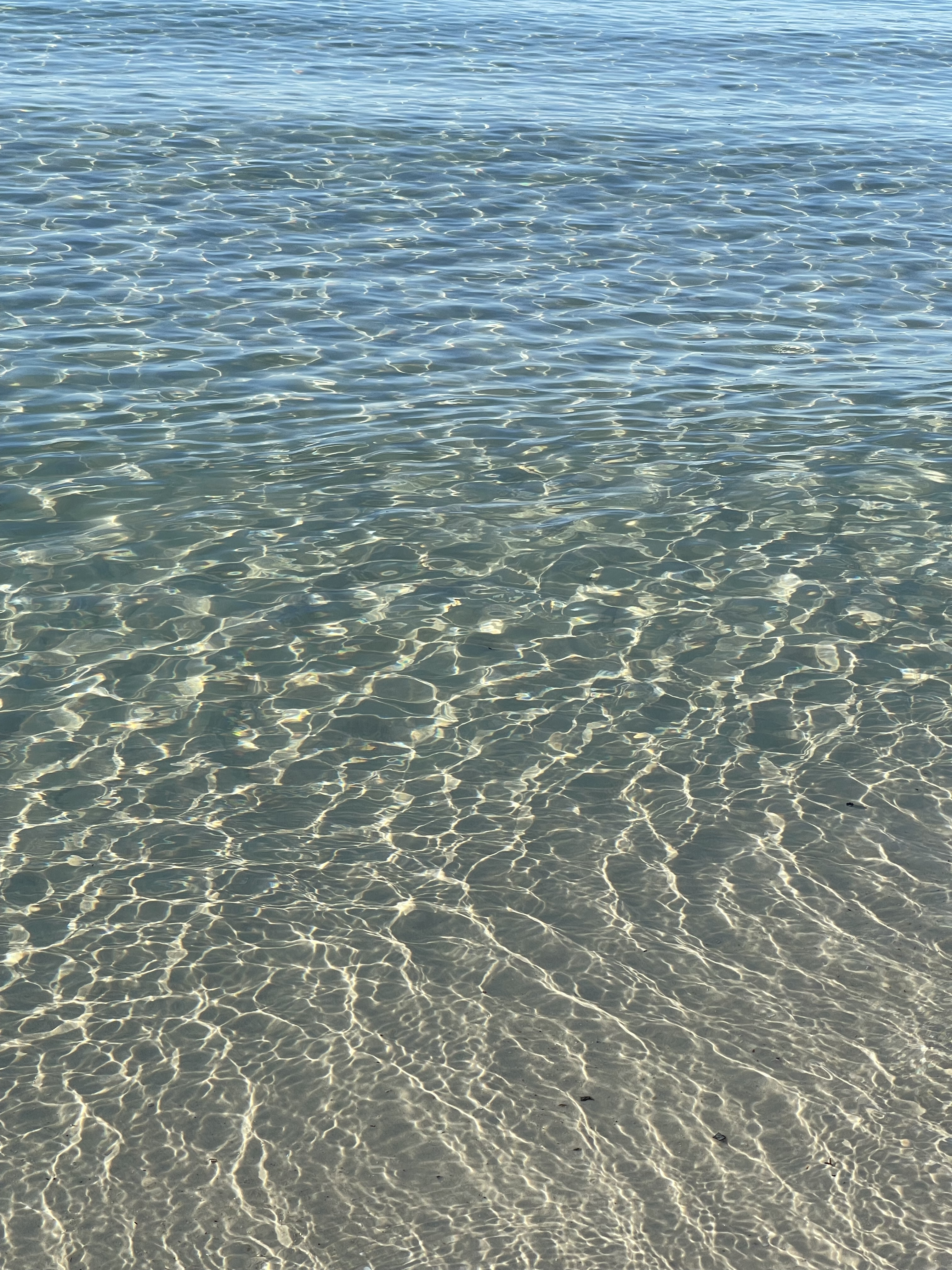 Ariel banner image