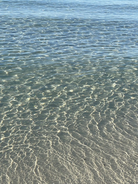 Ariel cover image