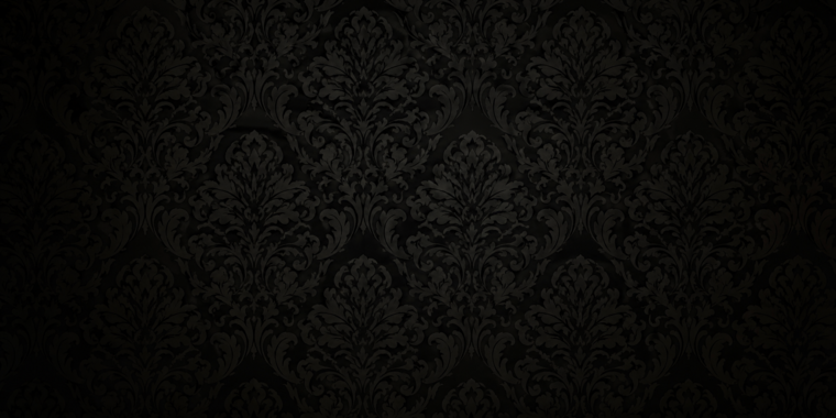 Kitten cover image