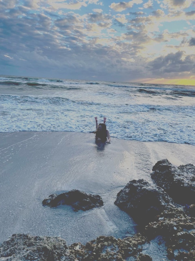 Lexy Kitty banner image