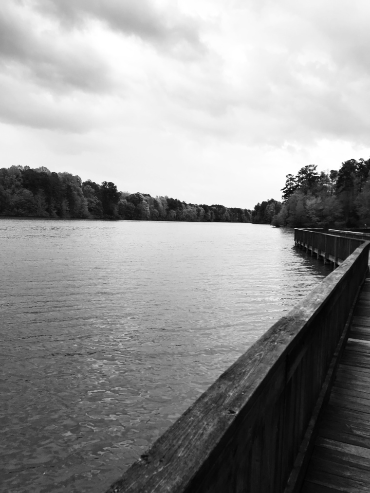 Alyxaundrya cover image