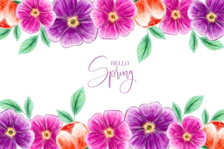 Alyyy cover image