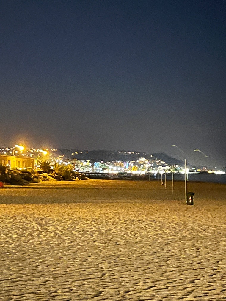 lepre cover image