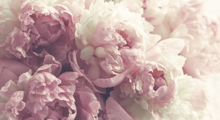❣️AmandaBlack♡❣️ banner image