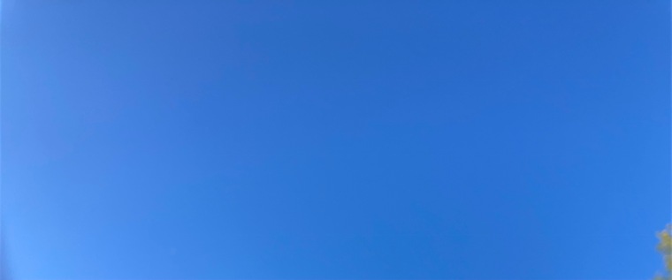 Amanda banner image