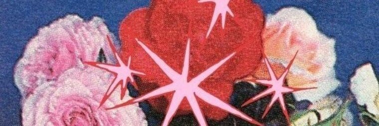 amari cover image