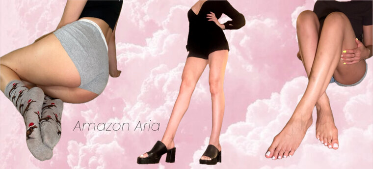 ✨ Amazon Aria ✨ cover image