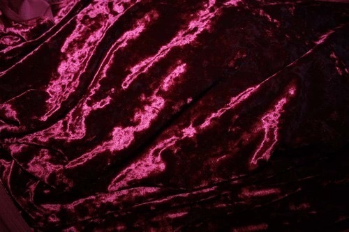 Amber Fenix banner image