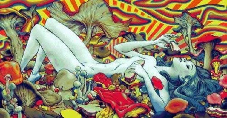 xmberlxceyjxde banner image