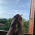 Ambre.feet avatar