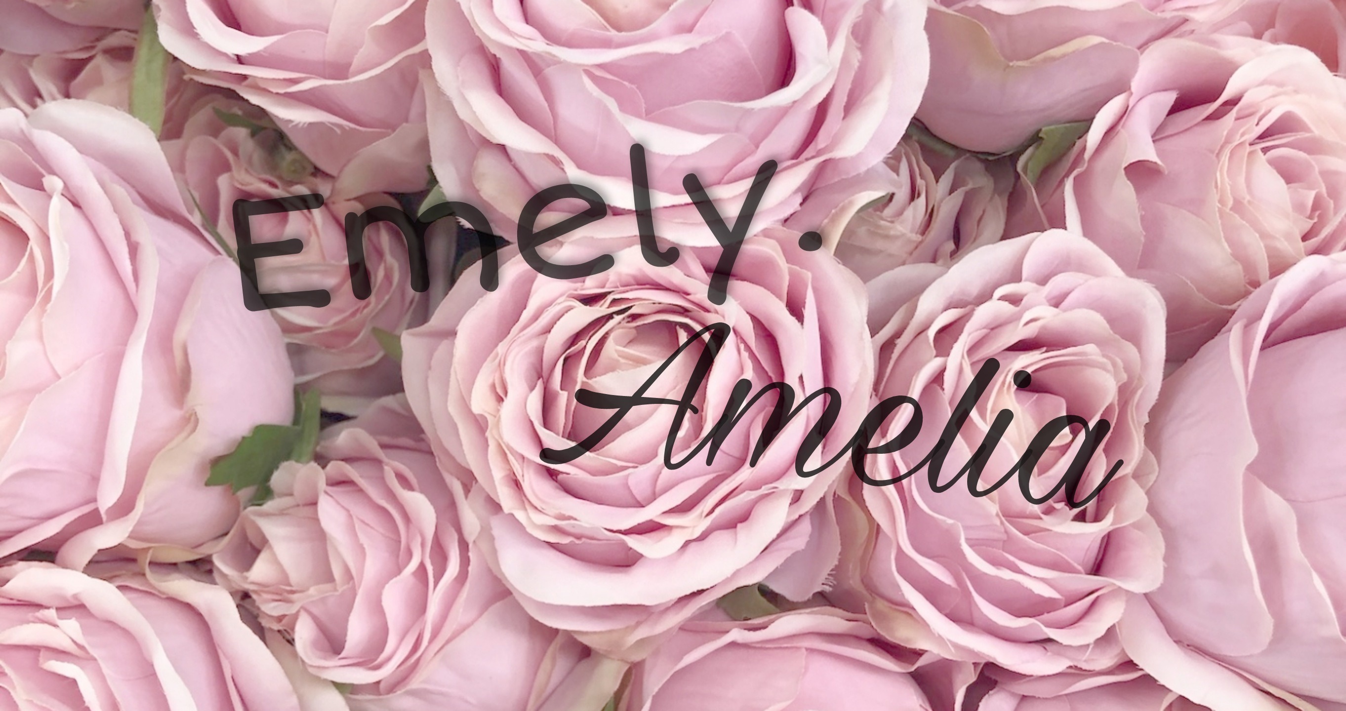 Amelia.Emely banner image
