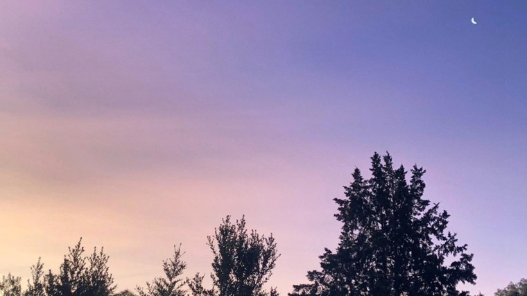 Amelia Chen banner image