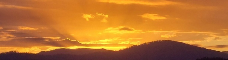 americanbadboy8 banner image