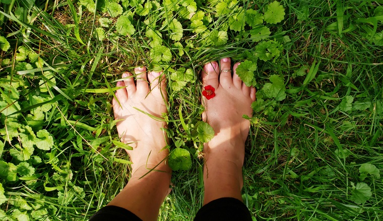 American Beauty Feet &Toes banner image