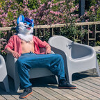 Ami Bluefox avatar