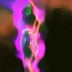 Aminah Ana avatar