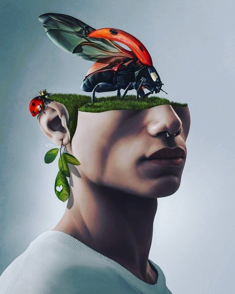 Amon ra cover image