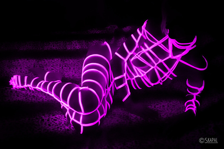 AmphitritesBlack banner image