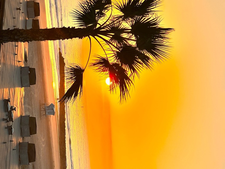 Alexandria Wiles banner image
