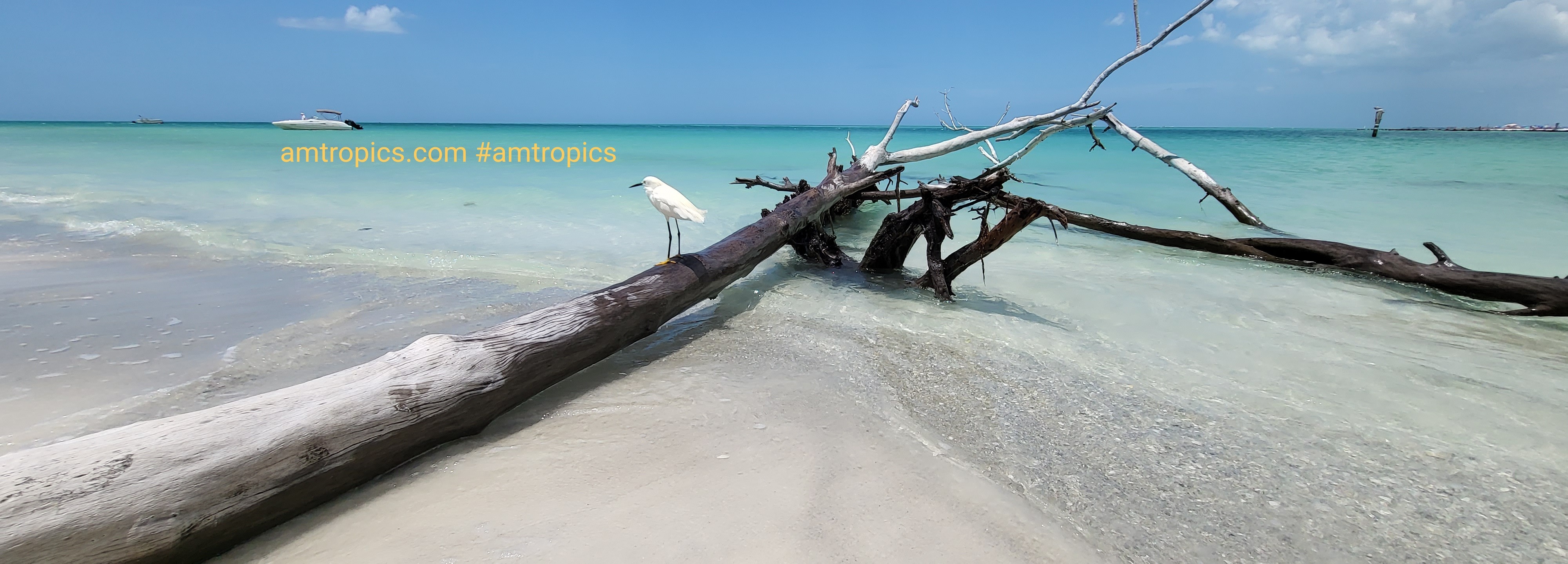 ANJOELO banner image