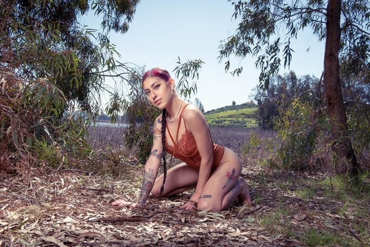 Amy Gaga cover image