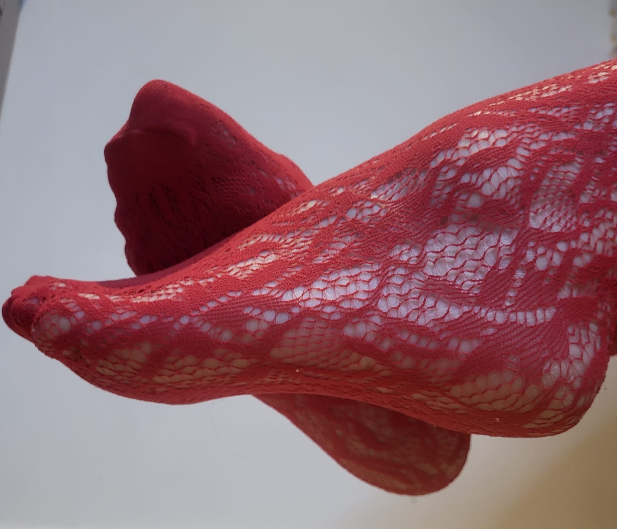 Amy banner image