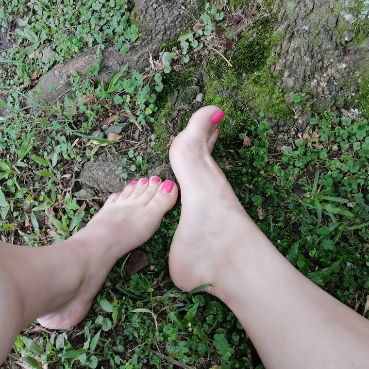 Amy Gómez cover image