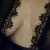 Amy Grey avatar