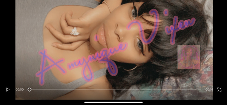Amynique Vixen cover image