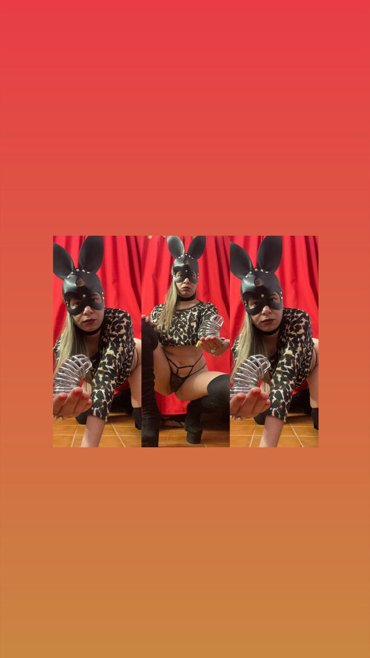Kinky Goddess Amy - SPH Specialist 👑🖤⛓️ banner image