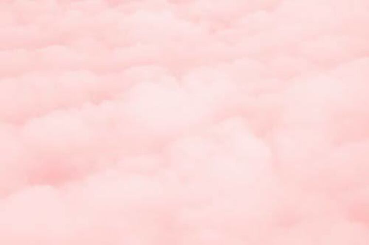 AmySmith banner image