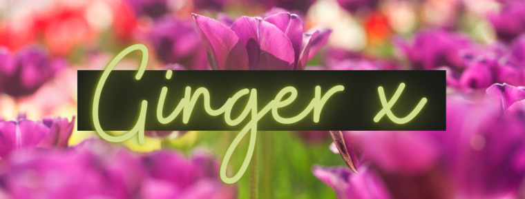Ginger x cover image