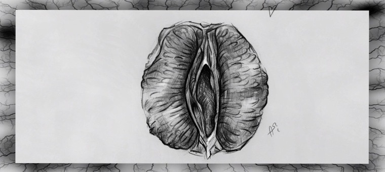 AS¿ cover image