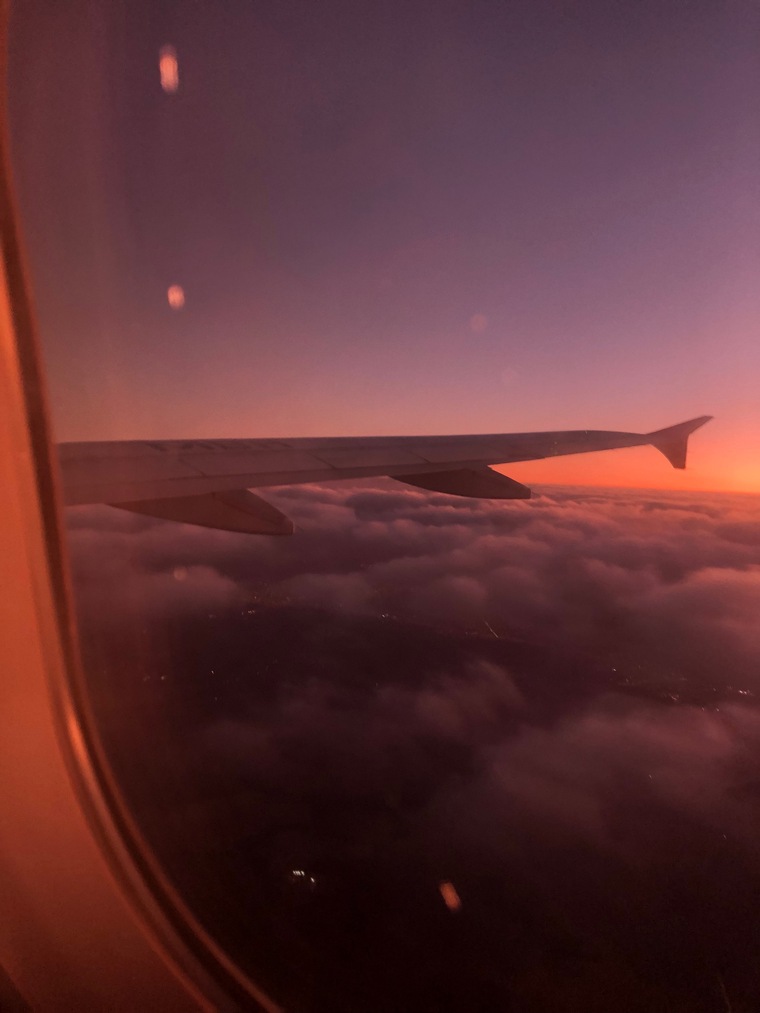Aninha π¦ banner image