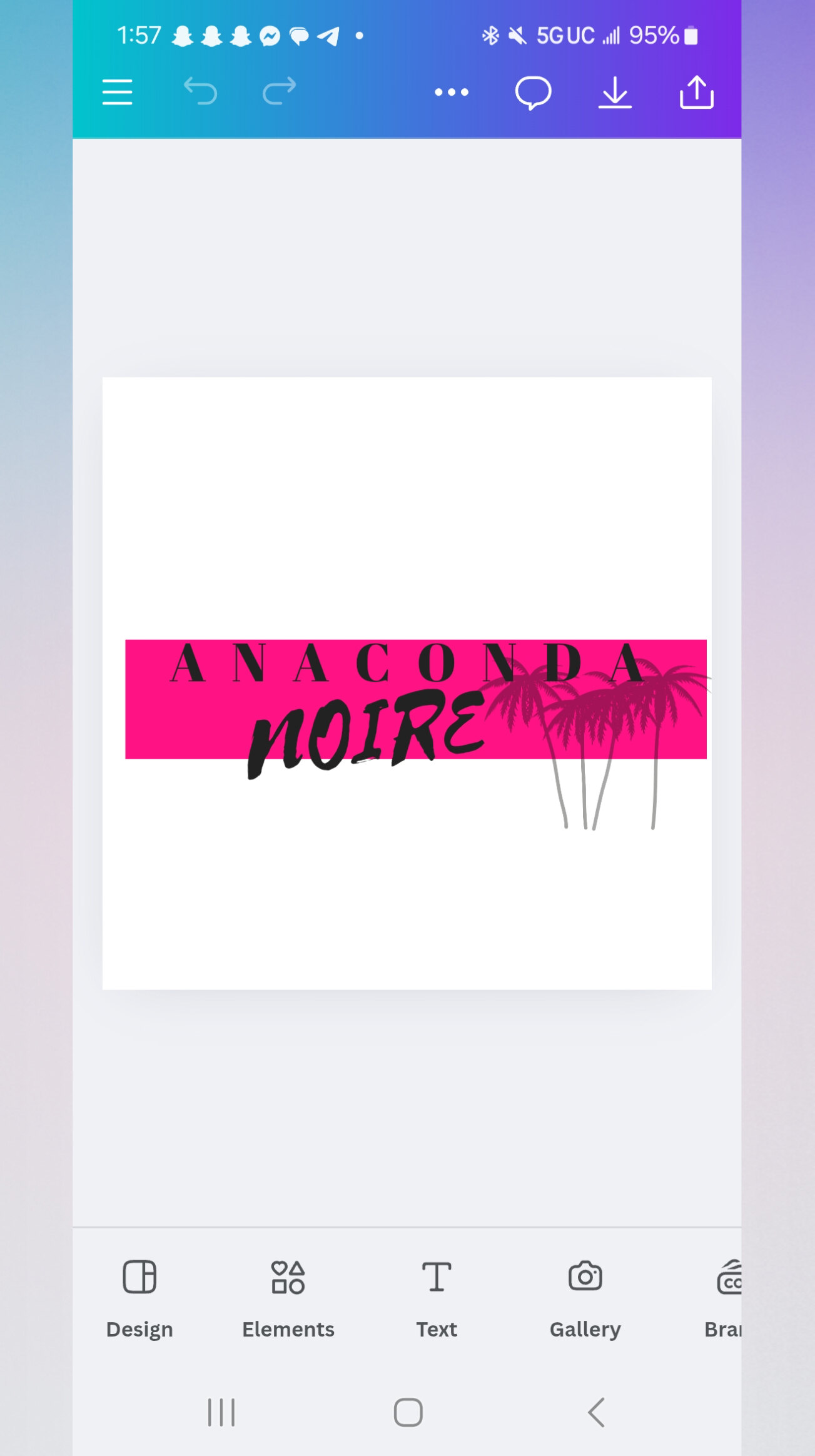 ANACONDA NOIRE banner image