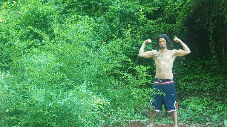 HazeDaddy420 banner image