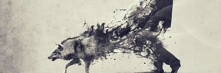 Ander cover image
